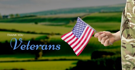 Composition of veterans day text and soldier holding american flag over valley