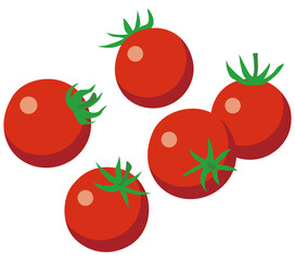 ミニトマト　野菜　トマト