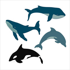 Set of vector whales and dolphins. Vector illustration of marine mammals, such as blue whale, humpback whale, dolphin and killer whale.