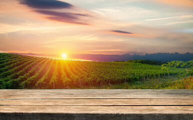 Fototapeta na wymiar Ripe grapes on vines in Tuscany, Italy. Picturesque winery, vineyard. Sunset warm light. Eco. Sustainable
