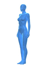 Woman, Body of Human Female, 3D