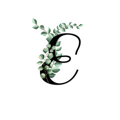 Vector illustration with eucalyptus leaves. Floral alphabet.