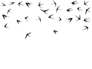 Flying swallow birds silhouettes vector illustration. Nomadic martlets swarm isolated on white.