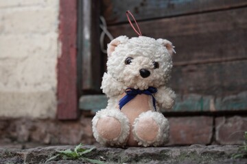 abandoned teddy bear is siting
