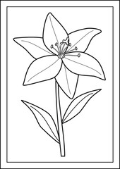 lily drawing, lily flower drawing, flower coloring page, coloring page, lily coloring page