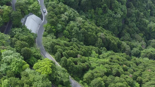 A curvy road winding through a forestry mountains in hadano japan. Single car driving through a desolate road.