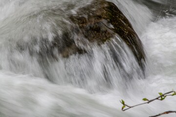 Fototapeta na wymiar wild water in a mountain river splashing over a rock