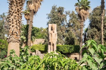 Standing statue of Ramses II on the background green palm trees in open air museum of Memphis, Egypt