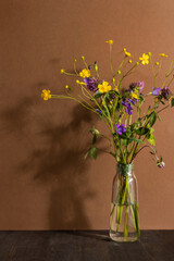 Still life with wildflowers in glass bottle on brown background. Modern trendy composition with dried flower , dark shadows
