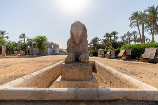 alabaster sphinx of Amun-Ofis II at the ancient Egyptian capital of Memphis in northern Egypt. The statue is four and a half metres high and eight metres long.