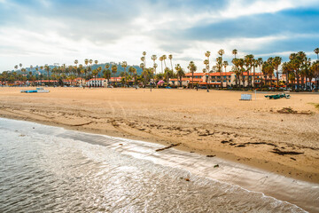 Palm trees on the shore, photographed from a pier in Santa Barbara, California