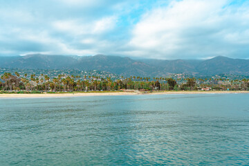 Palm trees on the shore, photographed from a pier in Santa Barbara, California