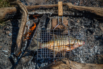 roasting fish on a wire rack