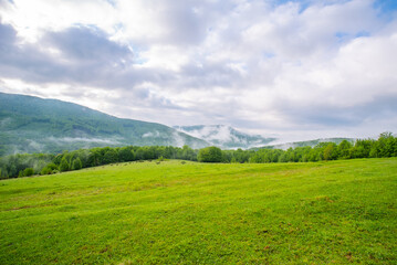 Fototapeta na wymiar glade covered with grass near the mountains in the fog in the morning. Nature landscape. the sky is covered with clouds.