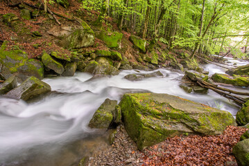 forest stream with stones in long exposure. clean water. ecology.