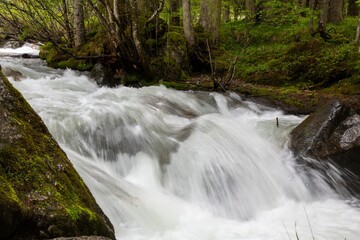 Fototapeta premium wild river in the remote mountain area Hochrindl in the Austria region of Carinthia