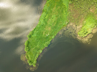 Drone view of the peninsula in the form of a sharp tongue lizard, dragon on the lake on a sunny summer day