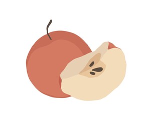 Red apples. Half a red apple. Fruit illustration for farm market menu,  recipe, summer menu, invitations, posters, stickers and seasonal design. Healthy food design.
