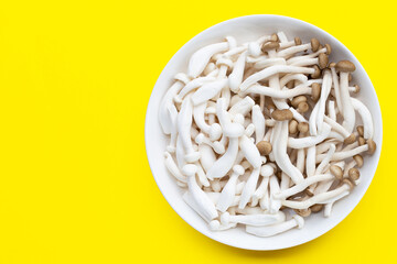 White and brown beech mushrooms, Shimeji mushroom, Edible mushroom on yellow background.