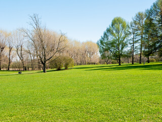 Bright sunny spring day in Kolomenskoye park, Moscow. View of the lawn with young green grass and trees against the blue sky.
