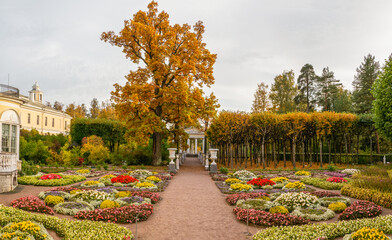 Autumn view of the garden of Empress Maria Feodorovna near the Pavlovsk Palace in Pavlovsk. Russia.