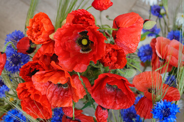 A bouquet of poppies with cornflowers and spikelets of rye close-up. Selective focus