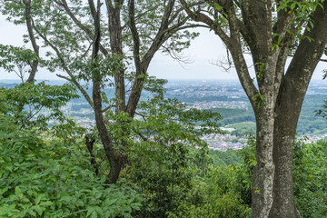 Fototapeta na wymiar 多峯主山（とうのすやま）の山頂から見える飯能市の町並み