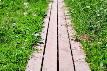 empty wooden road and unfocused bokeh and a blurry background of garden trees with sunlight. product display template.
