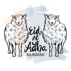 Happy Eid al-Adha with lamb. Celebration of Muslim holiday