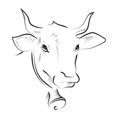 Outline drawing of bull hand. Vector illustration.