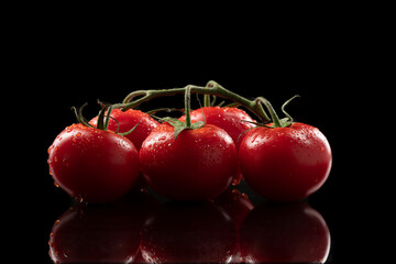 Red tomato with water drops on black © Banu Sevim