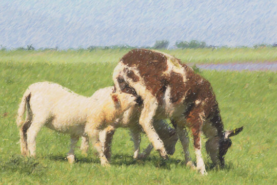 Ewe with suckling lamb on green field or meadow, digital painting, color sketch for wallpaper, postcard, art print