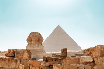 Sphinx Egypt portrait. Portrait of Great Sphinx of Egypt close. Egypt, Giza. many pigeons on the...