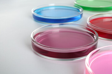 Petri dishes with colorful liquids on white background, closeup