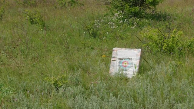 a young guy shoots a bow at a target, in nature, and hits the target, the arrow pierces the target for flight, pulls the bowstring tightly for a shot. Prores 422