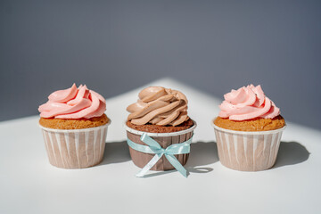 Cupcakes on a white sunny background with a shadow.
