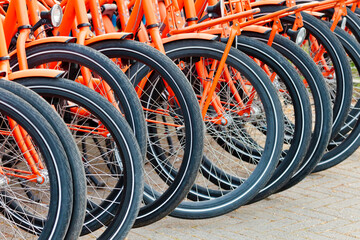 Row of orange Dutch rental bicycles