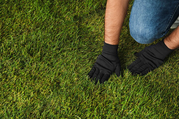 Young man laying grass sod in garden, closeup. Space for text