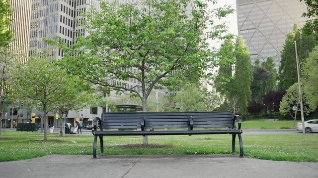 Bench in the park and downtown 