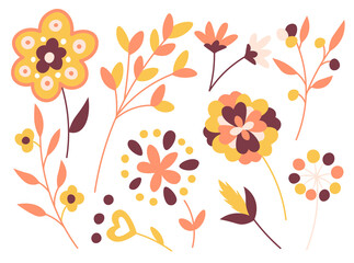 Floral set different flowers and leaves flat vector illustrations