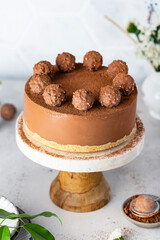 Cold chocolate cheesecake with truffle and cocoa powder
