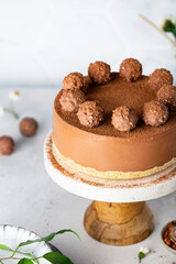 Cold chocolate cheesecake with truffle and cocoa powder