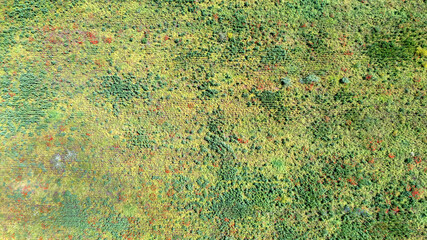 Erosion of the earth