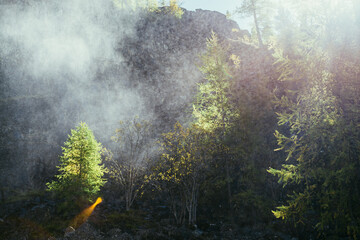 Fototapeta premium Bright landscape with water cloud of drops from waterfall on background of rocky mountain wall with autumn trees in golden sunlight. Beautiful water cloud near rock above yellow trees in gold sunshine