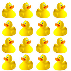 Ducks on a white background. Seamless patterns. Toy animal.