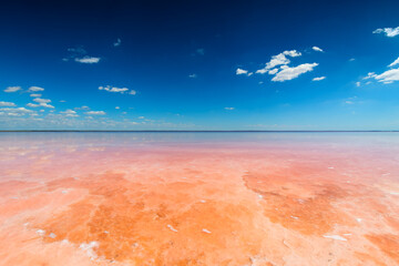 Salt lake with pink salt and the blue sky with clouds. Sasyk-Sivash pink salt lake in Crimea....
