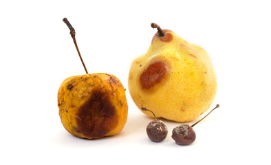 Rotten fruit with mold on white background