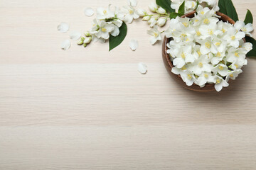 Beautiful jasmine flowers on white wooden table, flat lay. Space for text