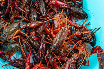 A pot of fresh crayfish