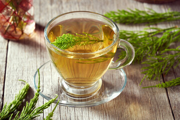 Fresh horsetail twigs in a cup of horsetail tea